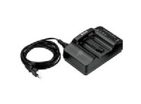 Nikon Quick Charger MH-21 (999410)
